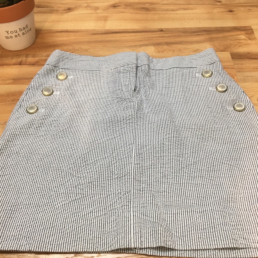 J.Crew Skirt